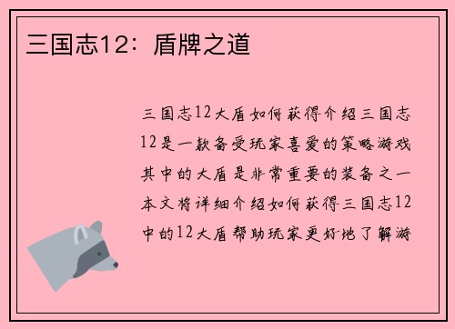 三国志12：盾牌之道
