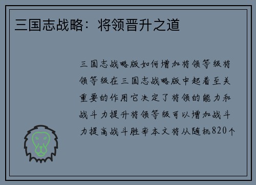 三国志战略：将领晋升之道