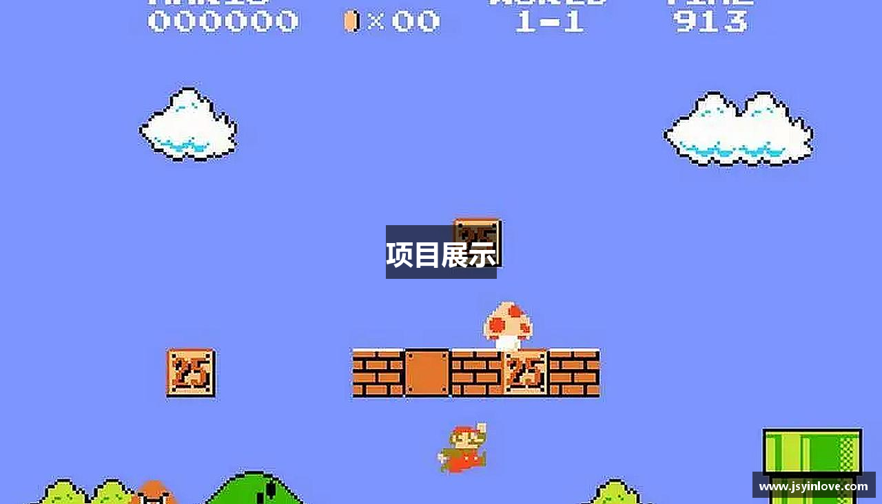 项目展示